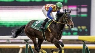 ダイヤモンドS想定騎手10頭 テーオーロイヤルは菱田裕二騎手、サリエラはC.ルメール騎手