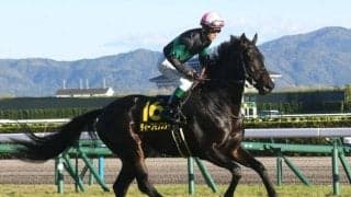 小倉大賞典想定騎手21頭 ディープモンスターは浜中俊騎手、タガノパッションは菱田裕二騎手