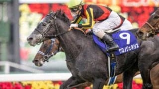 芝・ダートの双方で実績残した名馬“クロフネ” 母父としての実績も「二刀流」