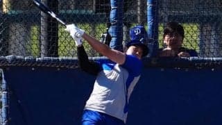 木々が生い茂る間に…豪快140m弾の“着弾地点”　大谷翔平に驚き「何台犠牲になるかな」