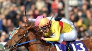 “荒れやすいGI”フェブラリーS 全19回から3連単高配当ランキングベスト3を紹介