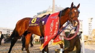 西村淳也騎手がフェブラリーSでJRA・GI初制覇へ JBCスプリント覇者と初タッグ