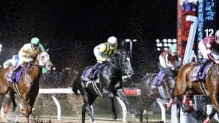 【雲取賞】イーグルノワールは7枠13番、白毛馬アマンテビアンコは5枠9番