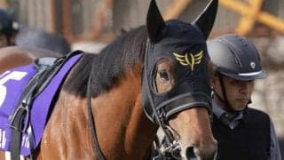 古豪8歳馬が4年連続のフェブラリーS参戦 歴史的1勝を手にできるか