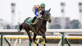 【ダイヤモンドS予想オッズ】テーオーロイヤルが予想1番人気