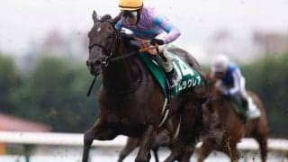 【京都牝馬S予想オッズ】ナムラクレアが予想1番人気