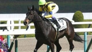 【京都牝馬S展望】距離短縮の4歳馬ソーダズリングに注目