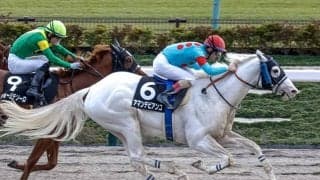 【大井・雲取賞注目馬】白毛馬アマンテビアンコ重賞初制覇なるか ダート三冠に向けた前哨戦