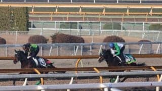 エルトンバローズ、中山記念1週前追い切り速報/栗東トレセンニュース