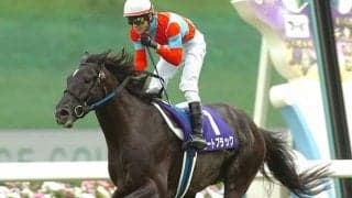 ビートブラックが骨折により17歳で死亡 12年天皇賞(春)でオルフェーヴルを撃破