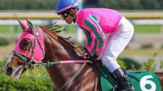 オメガギネスで滑り込み出走！ C.ルメール騎手がフェブラリーS3勝目なるか