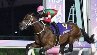 【フェブラリーS】ヒダカBUが6年ぶりのJRA・GI制覇へ キングズソードが参戦