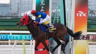 【雲取賞】ブルーサンが鮮やかに逃げ切る…交流重賞初制覇