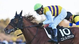 快速馬ネロ産駒なのに長距離4勝 ダイヤモンドSに注目の4歳馬が参戦
