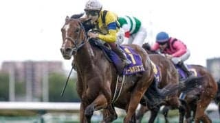 【中山記念想定】ソールオリエンス、ジオグリフなど17頭