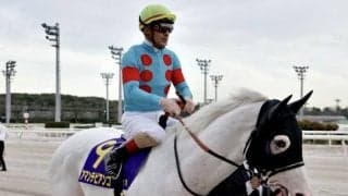 【雲取賞】ルメール「躓いてちょっと出遅れた」白毛馬アマンテビアンコは2着
