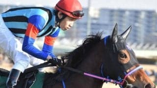長距離重賞はオルフェーヴル産駒にお任せ 衰え知らずの8歳馬がダイヤモンドSで重賞初Vだ