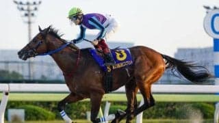 【フェブラリーS予想】オッズ的にも妙味アリ！ 先週的中のAIの注目馬には逆らえない