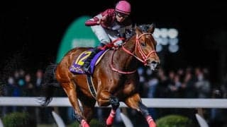 アメリカ三冠競走にJRAから45頭が予備登録 フォーエバーヤングやゴンバデカーブースなど