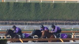 ストーンズ、弥生賞2週前追い切り速報/栗東トレセンニュース