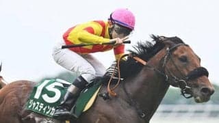 ジャスティンカフェが右前浅屈腱炎で9カ月以上の休養見込み 昨年のマイルCS3着馬