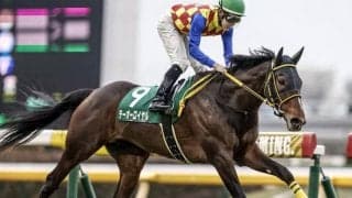 【ダイヤモンドS出走馬・騎手確定】テーオーロイヤル＆菱田裕二騎手、サリエラ＆C.ルメール騎手など10頭