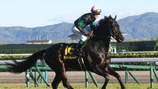 【小倉大賞典出走馬・騎手確定】ディープモンスター＆浜中俊騎手、ダンディズム＆富田暁騎手など16頭