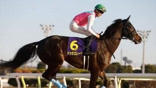 【フェブラリーS・調教後馬体重】ドゥラエレーデは532kg、ドンフランキーは602kg