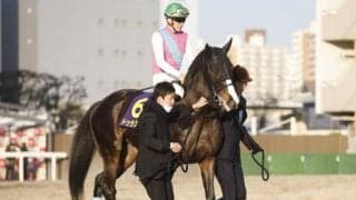 史上6頭目のJRA芝ダートGIダブル制覇なるか フェブラリーSで2頭が偉業にチャレンジ