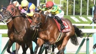 カタールの国際G3 アミールトロフィーに日本馬3頭が出走