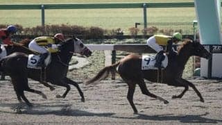 【新馬/東京2R】11番人気の伏兵・カフェニクスが波乱を演出