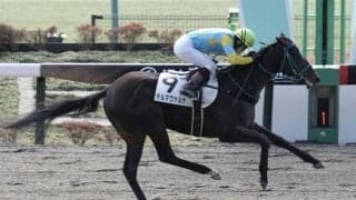 【新馬/東京4R】11番人気デルマヴァルナがデビューVで波乱…アールトラストは直線で落馬