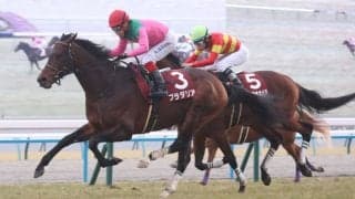 【京都記念】プラダリアが重賞3勝目…ゴール前の接戦を制する