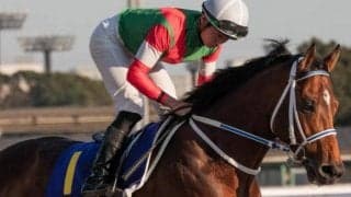 寺島良調教師＆岩田望来騎手 キングズソードでJRA・GI初制覇なるか