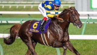 600kg近い超大型馬ドンフランキー “ヒシアケボノ超え”となるGI最高馬体重勝利記録の更新なるか