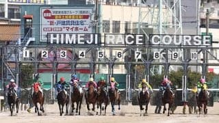 【姫路・白鷺賞結果】ラッキードリームが人気に応えて逃げ切りV！