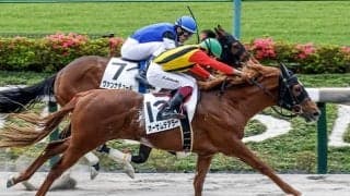 重賞を3勝したデアリングハートの仔が待望の2勝目を目指す 姪に無敗の3冠牝馬デアリングタクト