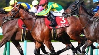 【カタール】アミールトロフィーにサトノグランツ日本馬3頭が出走