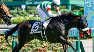 名牝シーザリオ最後の仔 超良血馬が半年ぶりの復帰戦へ