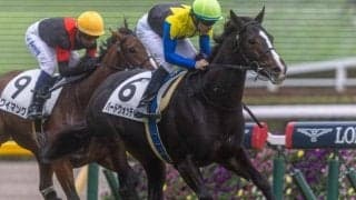 名牝アパパネの仔バードウォッチャー フリージア賞で巻き返しなるか