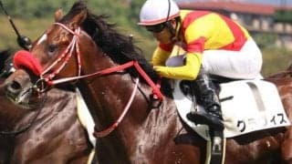 セレクト2.8億円の超良血馬 つばき賞で連勝狙う