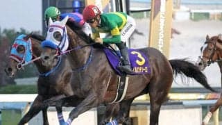 【フェブラリーS枠順確定】ウィルソンテソーロは7枠14番、オメガギネスは3枠5番