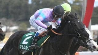 【京都牝馬S枠順確定】ナムラクレアは6枠12番、ソーダズリングは7枠15番