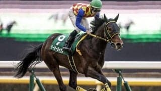 【ダイヤモンドS枠順確定】テーオーロイヤルは8枠9番、サリエラは7枠8番