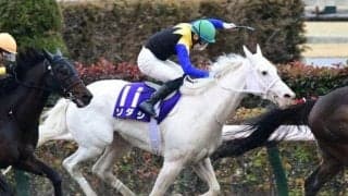 白い馬体が強豪牡馬相手に躍動 砂で復調のきっかけつかんだ22年フェブラリーS