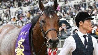 サウジ＆ドバイより“大盤振る舞い”!? G3なのに賞金破格のカタール・アミールトロフィー