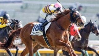  【ダイヤモンドS予想】スタミナと瞬発力が必須！ 思い切って“軽視”も一手の人気馬とは