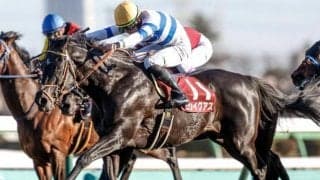【中山記念想定馬・騎手】ヒシイグアス、ソールオリエンスなど20頭