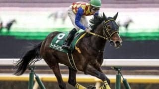 【今日の注目ポイント】東京でダイヤモンドSと京都で京都牝馬S