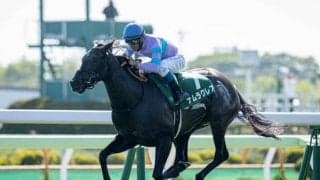 【京都牝馬S予想】ナムラクレアやメイケイエールなど好メンバー ヴィクトリアMに向けて各馬始動